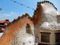 Casa Batllo  Gaudi designed house.  Roof is dragon back design.