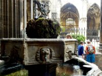 Barcelona Cathedral cloister