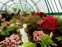 Royal Greenhouse of Laeken