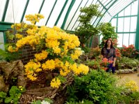 Anna at Royal Greenhouse of Laeken : Anna Stenson