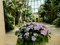 Royal Greenhouse of Laeken