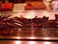 Eels at Valencia Central Market